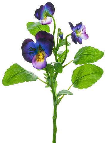 Purple Blue