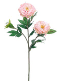 Pink Soft