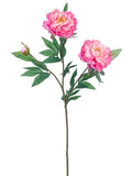 Two Tone Pink