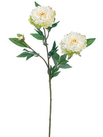 White Green