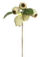 13" Pod Pick  White Gray (pack of 12)