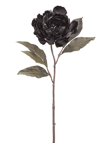 18.5" Peony Spray  Black (pack of 12)