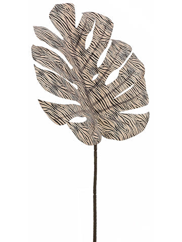 30" Zebra Print Split Philodendron Leaf Spray Cream Black (pack of 12)