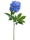 Delphinium Blue