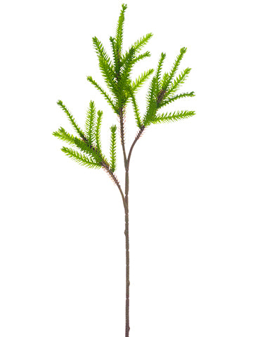 24" Soft PE Protea Spray  Green (pack of 12)