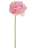 Cerise Pink