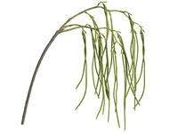 35" Pod Hanging Spray  Green (pack of 12)