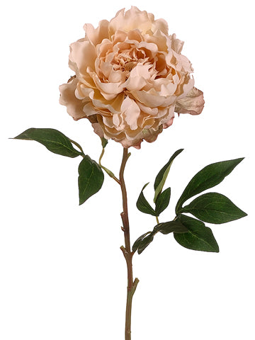 26" Peony Spray  Antique Tan (pack of 12)