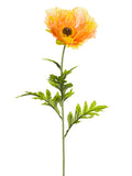 Peach Yellow