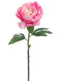 Pink Cream