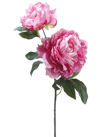 Two Tone Cerise