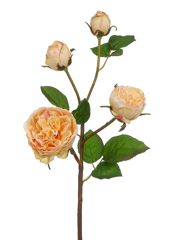 28" Peony Rose Spray  Peach (pack of 12)