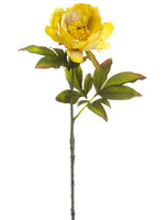Antique Yellow