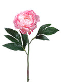 Two Tone Pink