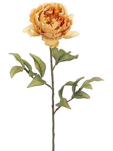 Amber