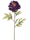 Dark Purple