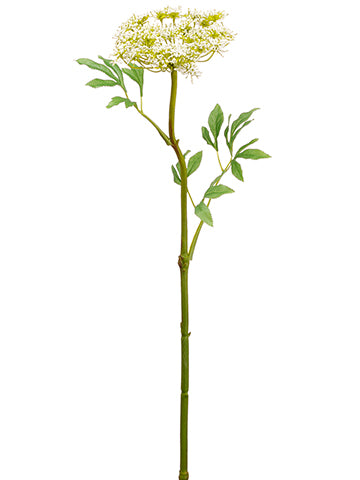 25" Queen Anne's Lace Spray  White (pack of 24)
