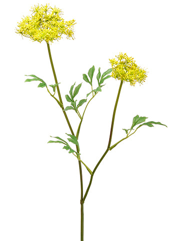 36" Queen Anne's Lace Spray  Yellow (pack of 12)