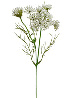 13.5" Queen Anne's Lace Spray  White (pack of 24)