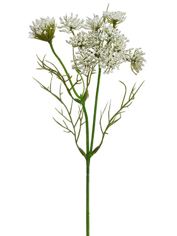 13.5" Queen Anne's Lace Spray  White (pack of 24)