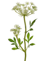 24" Queen Anne's Lace Spray with Water-Resistant Stem White (pack of 12)