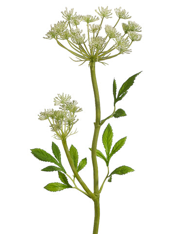 24" Queen Anne's Lace Spray with Water-Resistant Stem White (pack of 12)