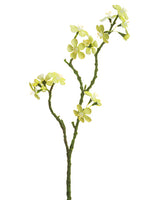 Soft Yellow