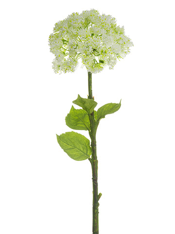 18" Queen Anne's Lace Spray  White (pack of 6)