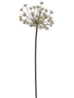 36" Dried Look Queen Anne's Lace Spray Beige (pack of 12)