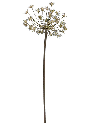 36" Dried Look Queen Anne's Lace Spray Beige (pack of 12)