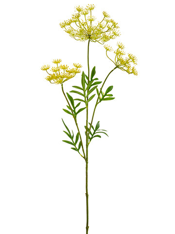 31" Queen Anne's Lace Spray  Yellow Green (pack of 12)