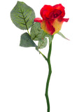 Tomato Red