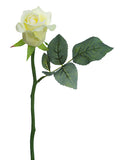 White Cream