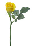 Soft Yellow