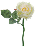 White Cream