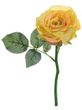 Soft Yellow