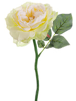 White Cream