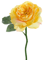 Soft Yellow