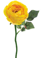 Soft Yellow