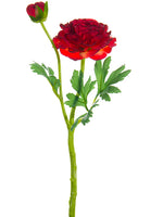 Tomato Red