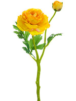 Soft Yellow