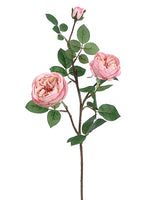 Pink Soft
