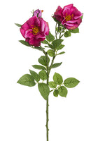 Two Tone Cerise