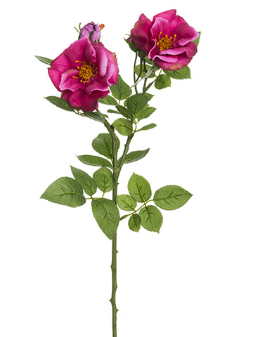 Two Tone Cerise