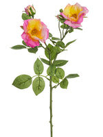 Cerise Yellow