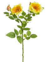 Yello Orange