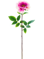 Fuchsia Pink