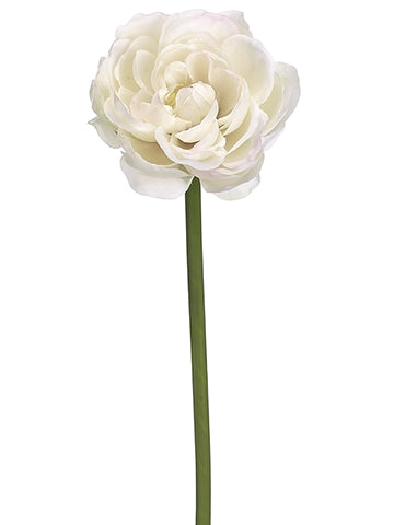 Cream Blush