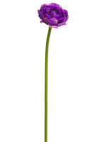 Orchid