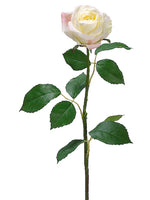 Cream Pink